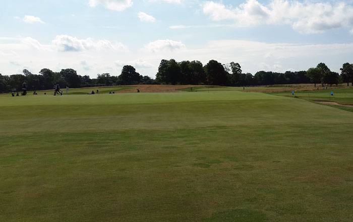 Chicago Golf Club - 15th Hole