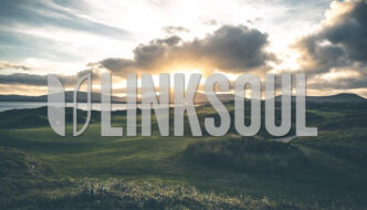 LINKSOUL-IMAGE