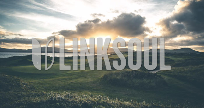 LINKSOUL-IMAGE