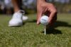 TitleistTourSpeed