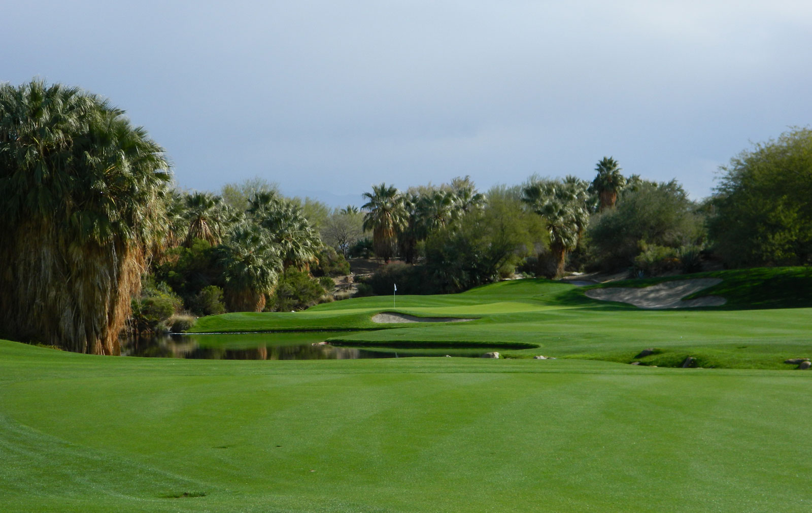 Desert Willow Mountain