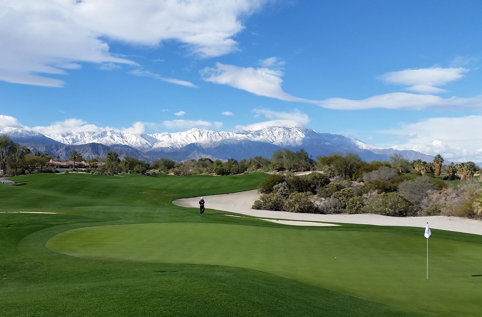 Desert Willow Firecliff