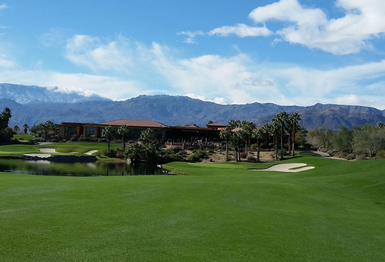 Desert Willow Firecliff