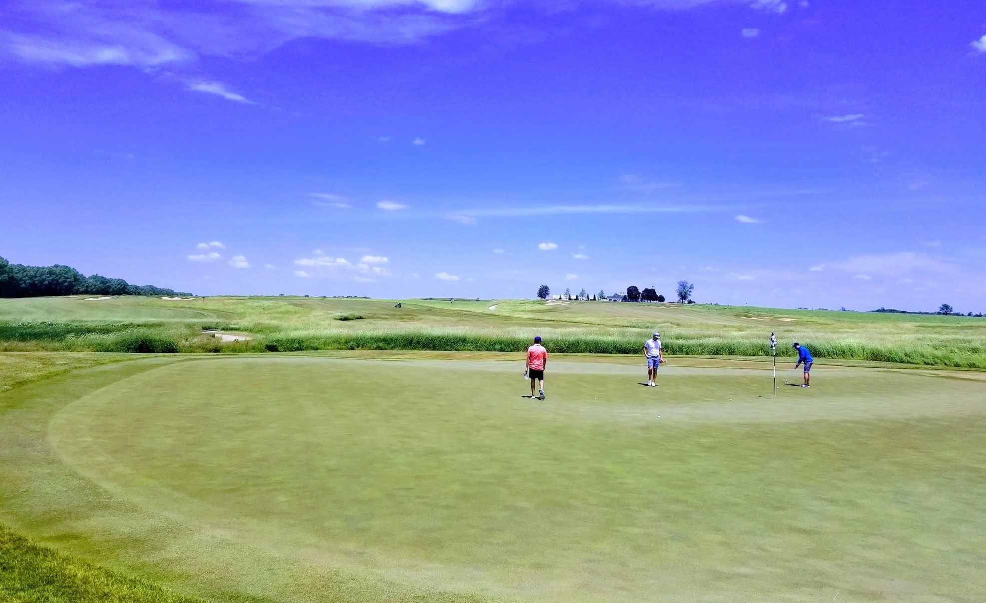 Black Sheep Golf Club