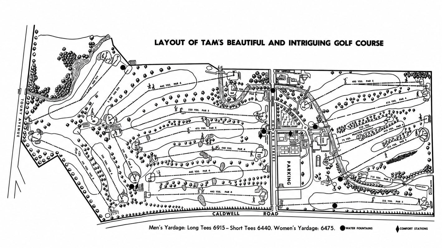 Tam 1955