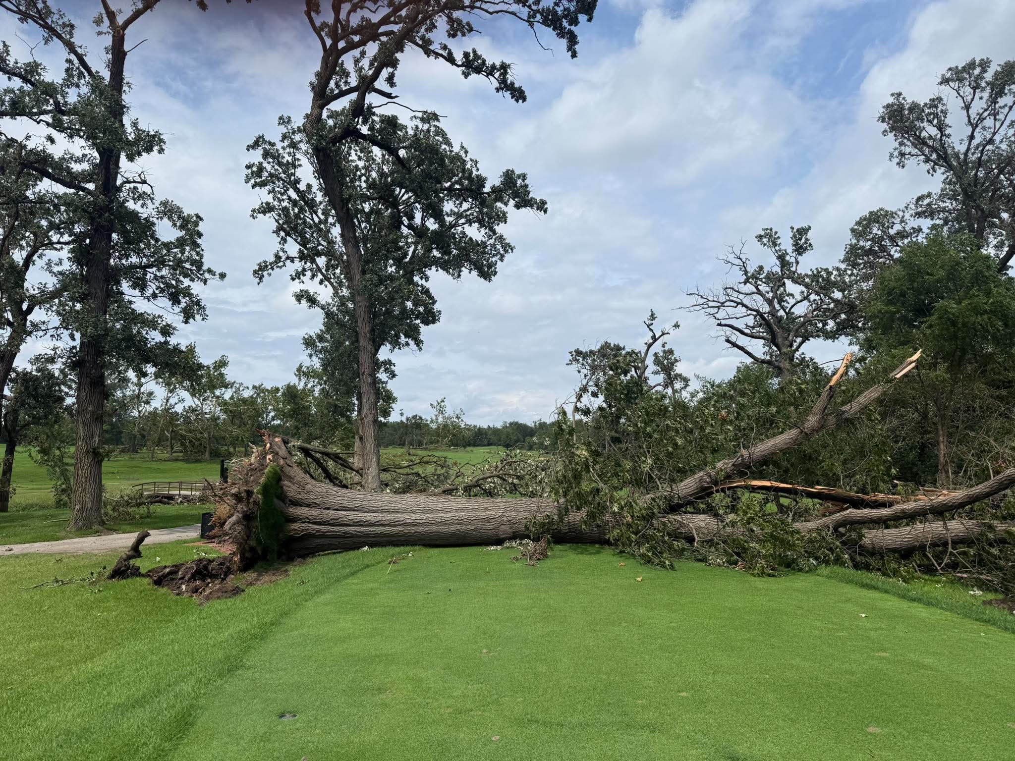 Idlewild Country Club