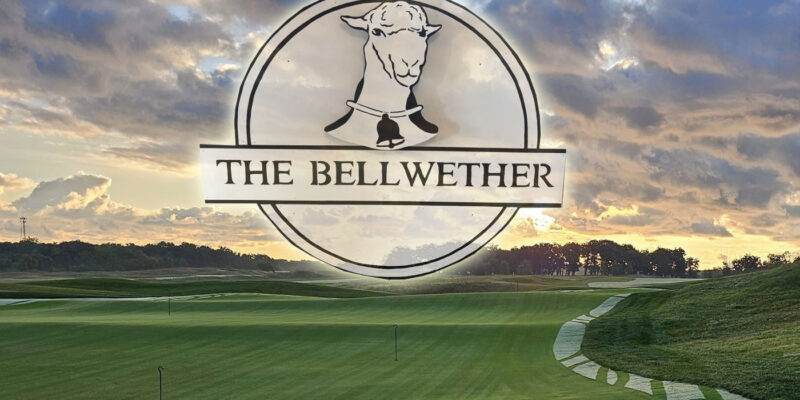The Bellwether at Shepherd’s Crook