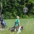Free Admission to Evans Scholars Invitational at The Glen Club