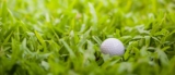 Simple Golf Tip – How to Save Strokes From The Rough