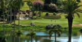 Chicago Area Golfers, Luxury Island Courses and Noteefy – Yes!