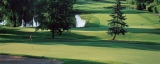Hilldale Golf Club in Hoffman Estates