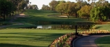 Innisbrook: A Golf Buddy Trip To Remember